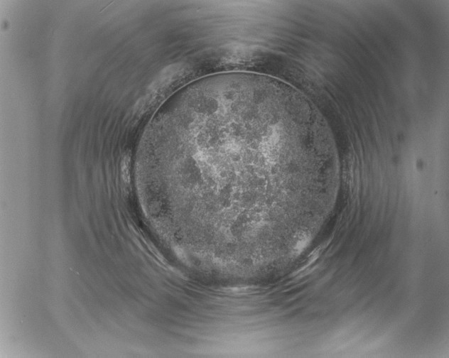 X0000057090127200509091323