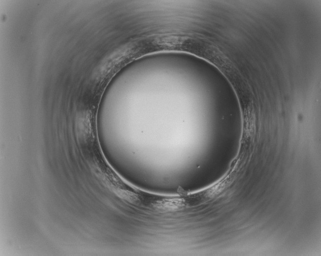 X0000057090128200509091323