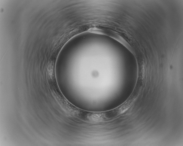 X0000057090129200509091323