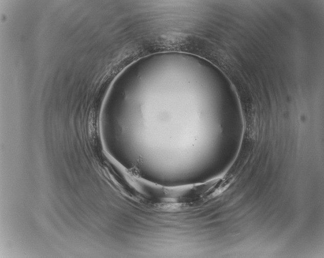 X0000057090131200509091323