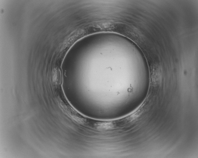 X0000057090132200509091323