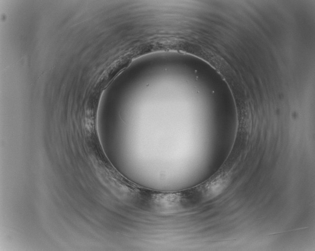 X0000057090135200509091323