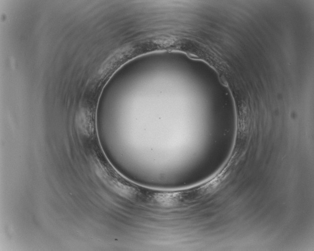 X0000057090136200509091323