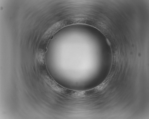 X0000057090138200509091323