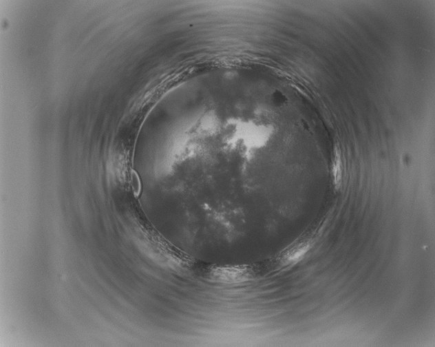 X0000057090139200509091323