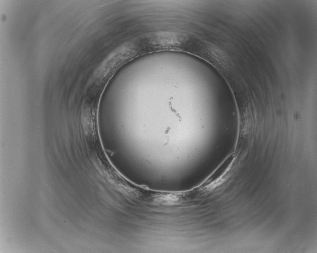 X0000057090140200509091323