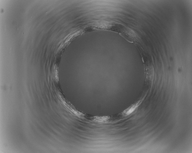 X0000057090143200509091323