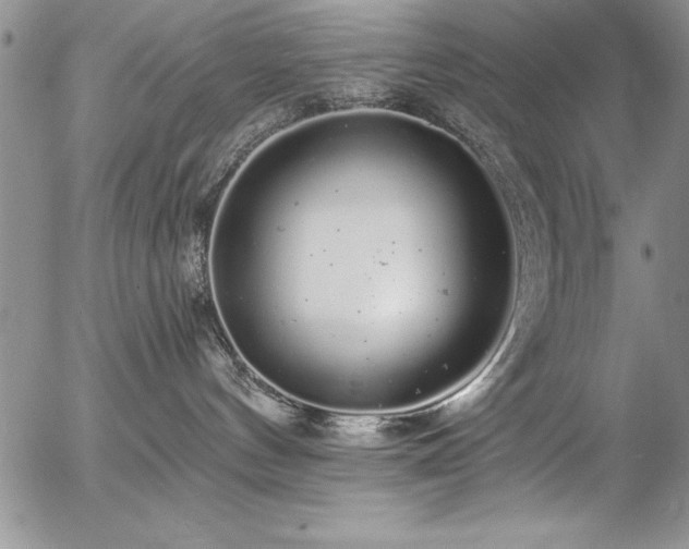 X0000057090144200509091323