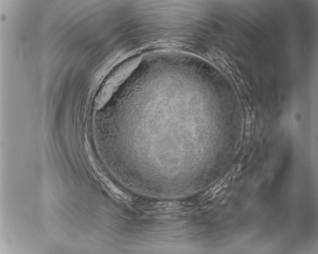 X0000057090145200509091322