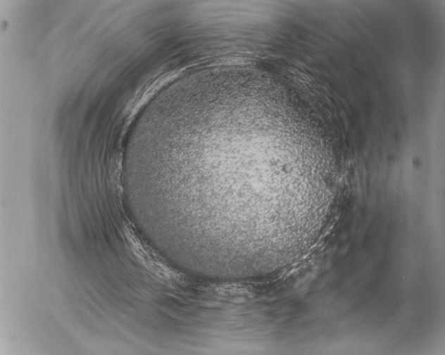 X0000057090146200509091322