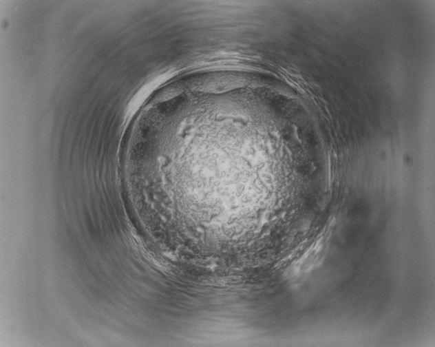 X0000057090147200509091322