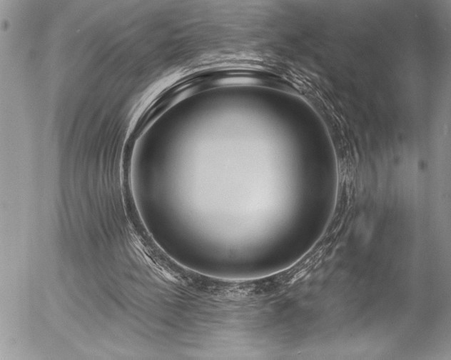 X0000057090148200509091322