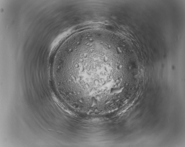 X0000057090149200509091322