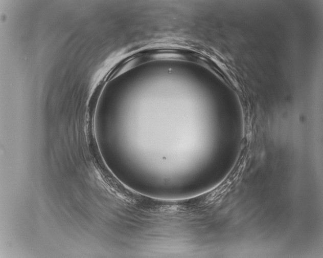 X0000057090152200509091322