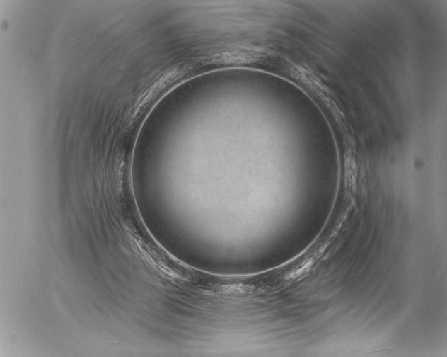 X0000057090153200509091322