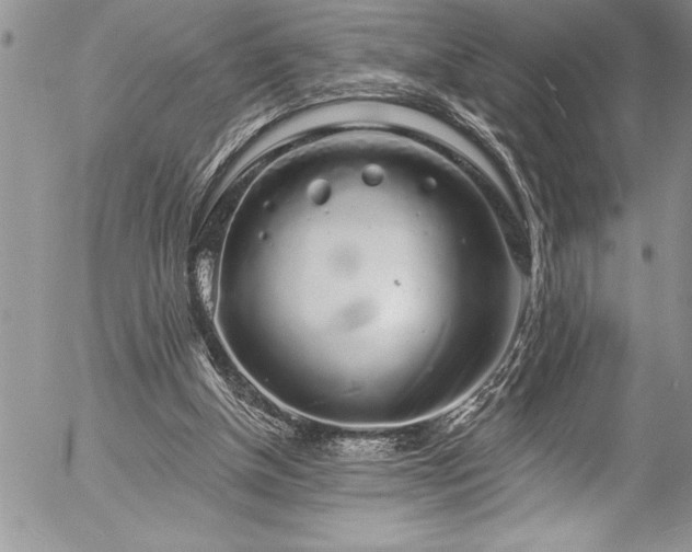 X0000057090154200509091322