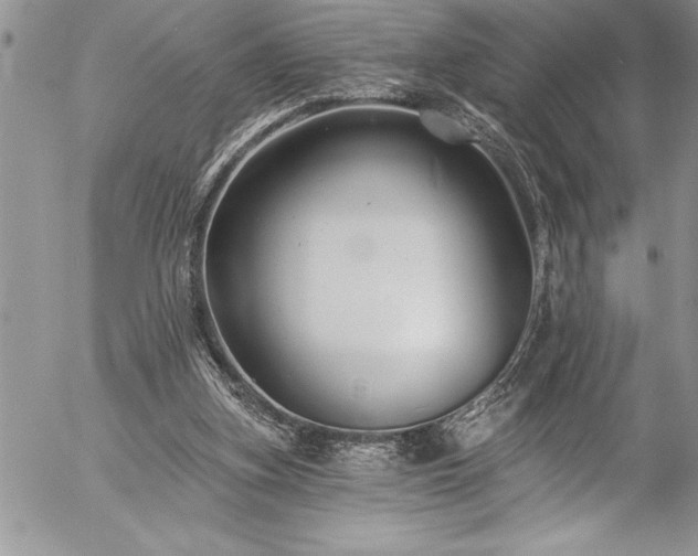 X0000057090155200509091322