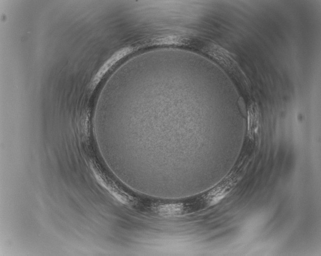 X0000057090156200509091322