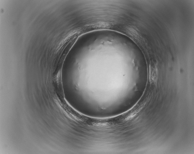 X0000057090157200509091322