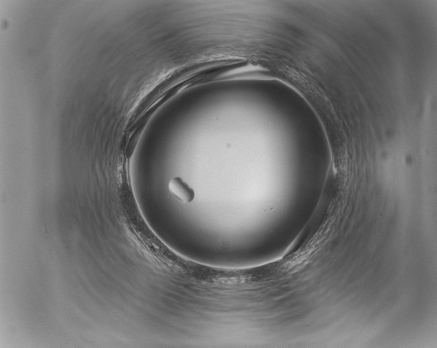 X0000057090160200509091322