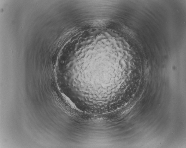 X0000057090161200509091322