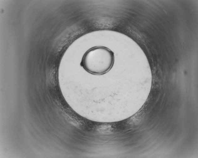 X0000057090162200509091322