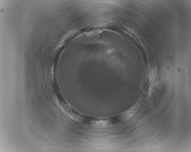 X0000057090163200509091322