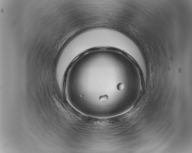 X0000057090164200509091322