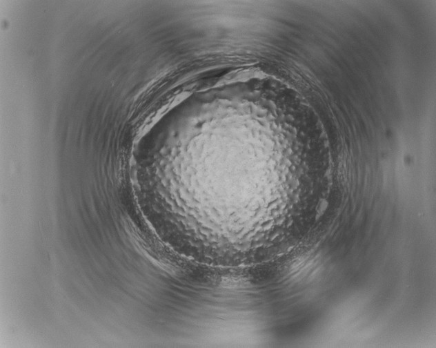 X0000057090165200509091323