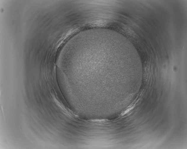 X0000057090168200509091323