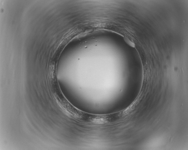 X0000057090171200509091323