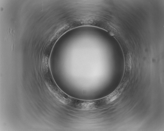 X0000057090172200509091323