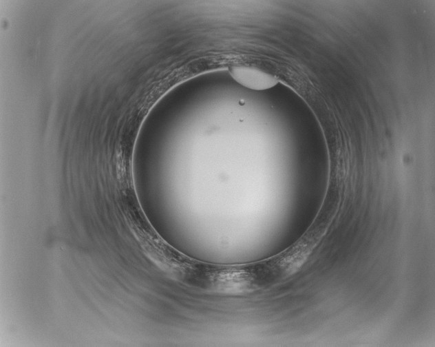 X0000057090173200509091323