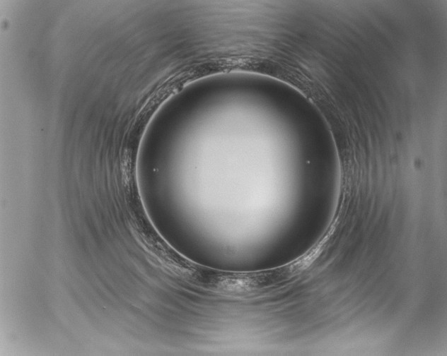 X0000057090174200509091323