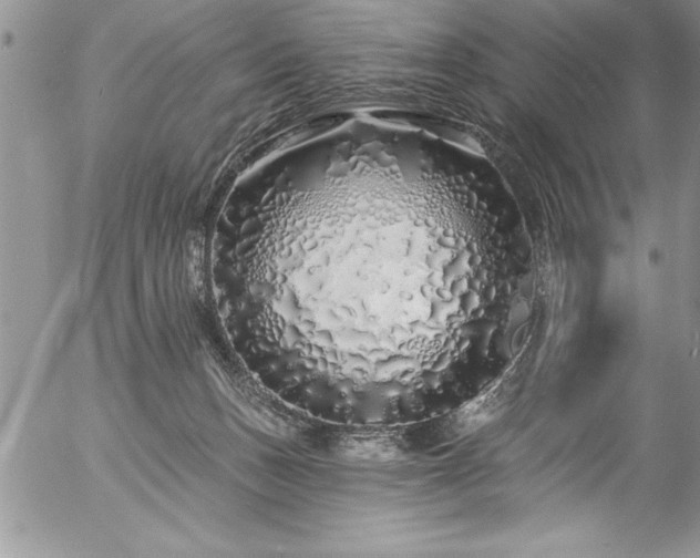 X0000057090175200509091323