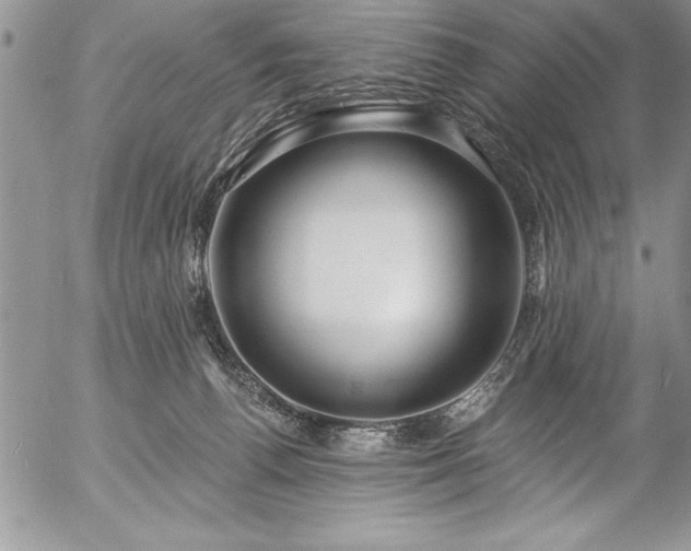 X0000057090176200509091323