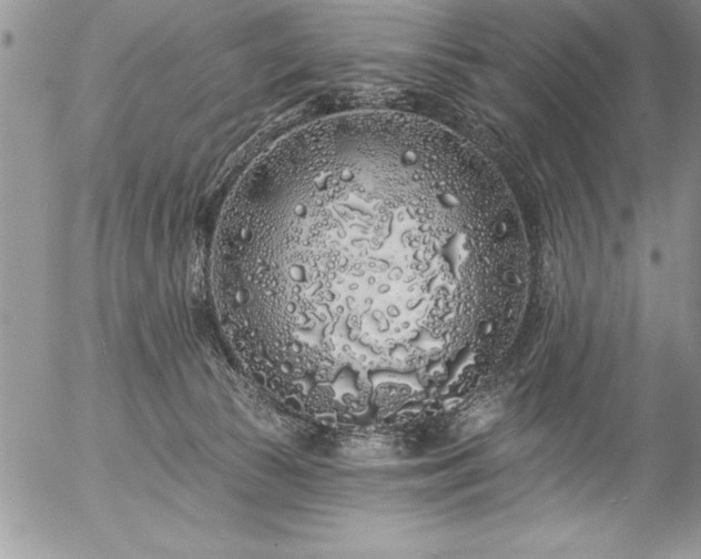 X0000057090177200509091323