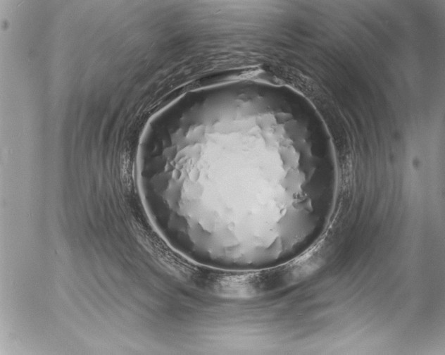 X0000057090178200509091323