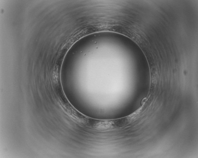 X0000057090179200509091323