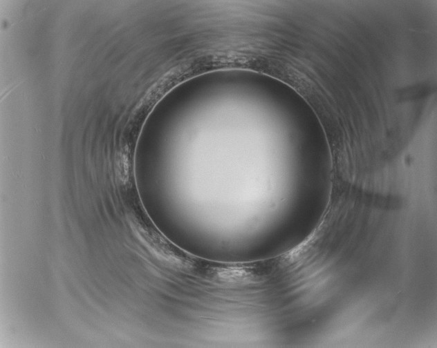 X0000057090183200509091323