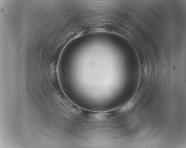 X0000057090184200509091323