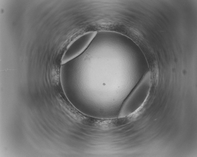 X0000057090186200509091323