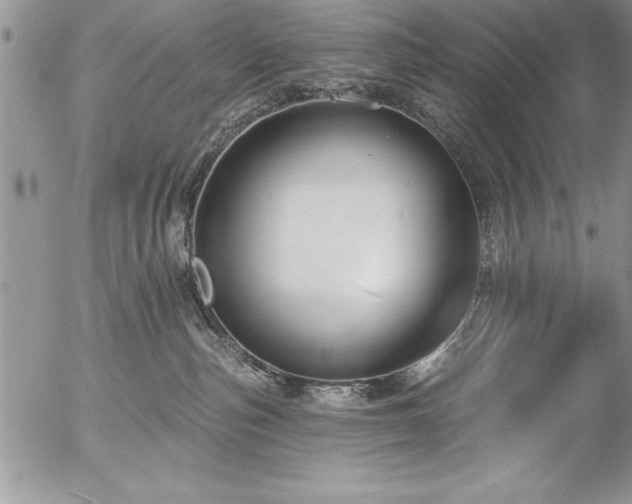 X0000057090187200509091323