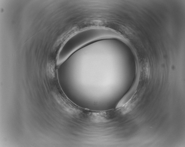 X0000057090188200509091323