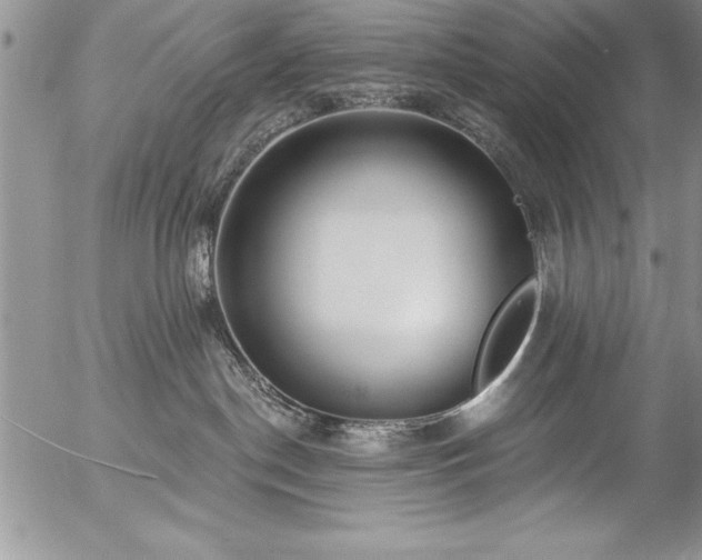 X0000057090190200509091323