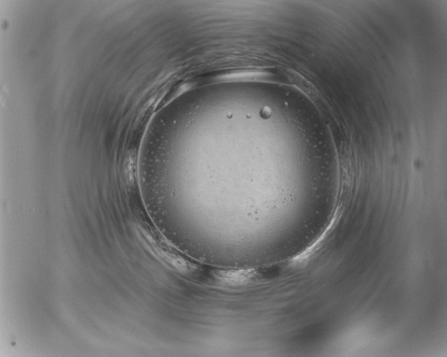 X0000057090191200509091323