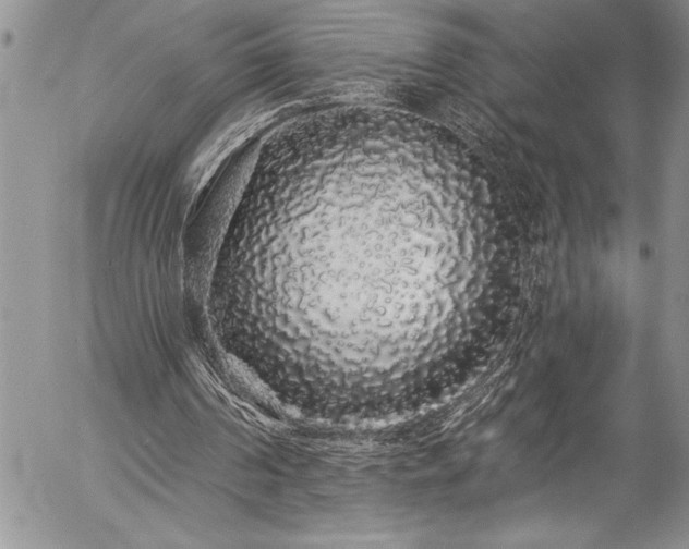 X0000057090194200509091322