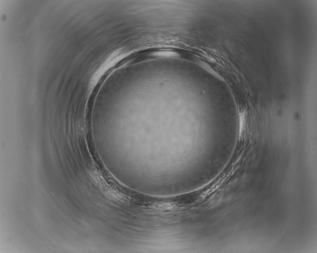 X0000057090195200509091322