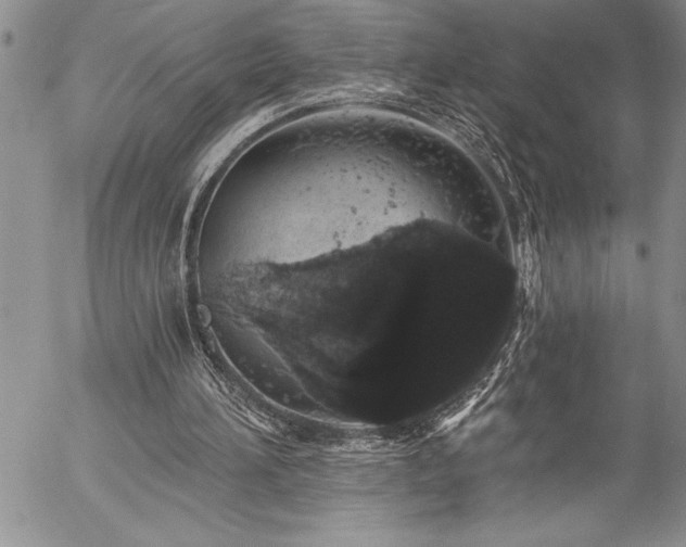 X0000057090196200509091322