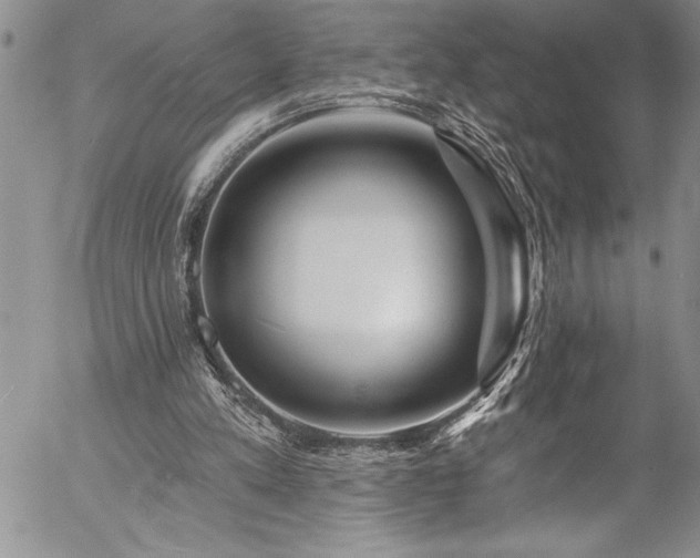 X0000057090197200509091322